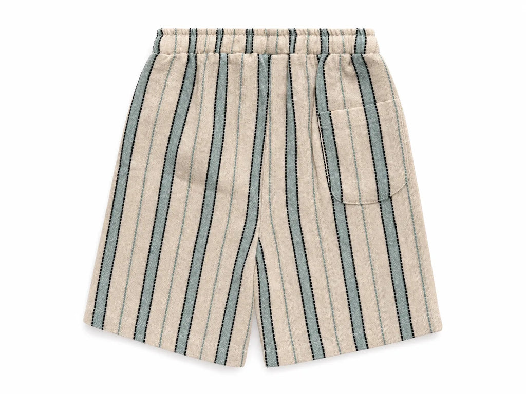 Coastal Sage Shorts