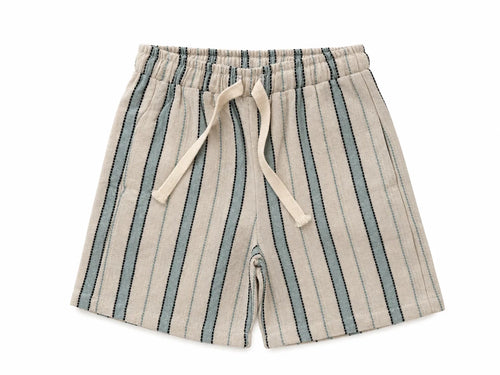 Coastal Sage Shorts